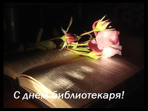 http://static-web-0.kspu.ru/web/images/2012/05/25/2d78d7e2ac815420cb06325097c638c1/s-dnem-bibliotekarya.jpg