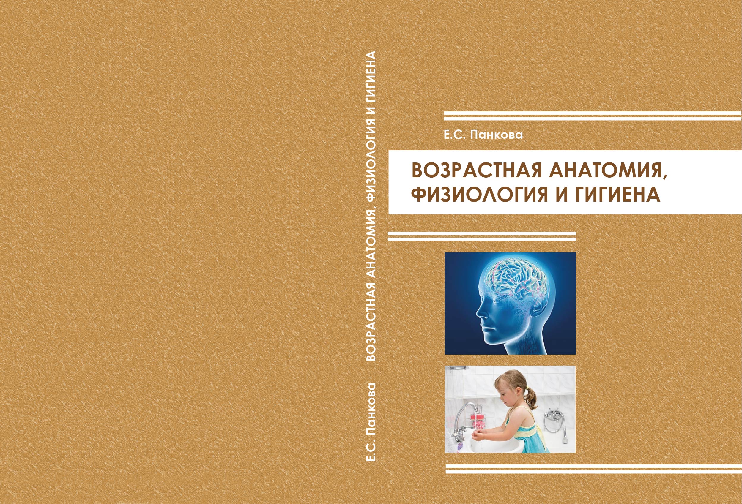 Значение курса возрастная анатомия и физиология. Возрастная анатомия и гигиена. Возрастная анатомия и физиология. Анатомия физиология гигиена. Основы возрастной анатомии и физиологии.