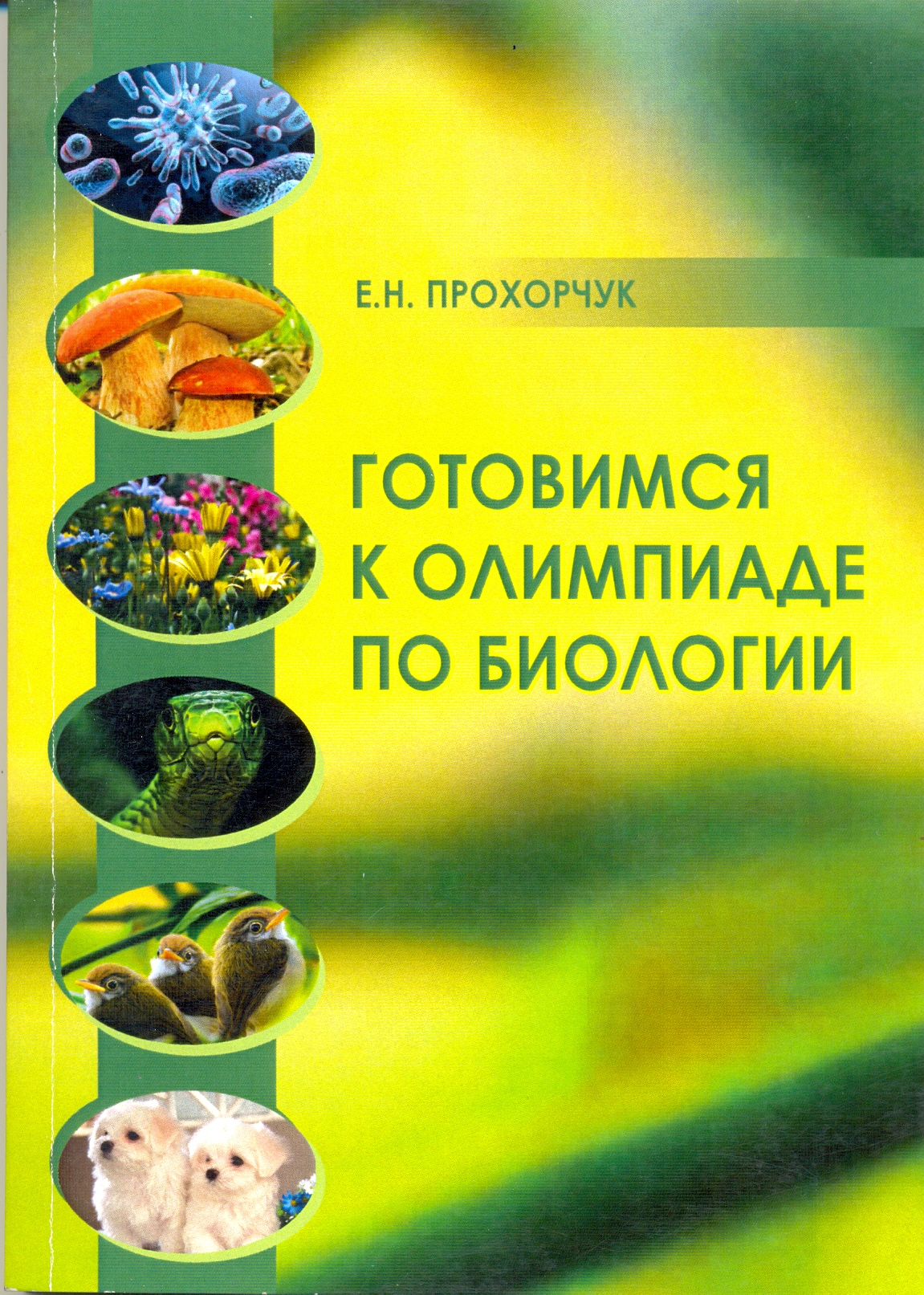 Вышли в свет издания КГПУ им. В.П. Астафьева по естественнонаучным предметам  :: КГПУ им. В.П. Астафьева