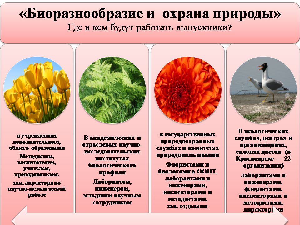 Значение биоразнообразия. Важность биоразнообразия. Сохранение биоразнообразия. Буклет о биоразнообразии.